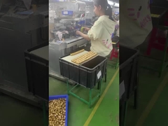 juguete de diseño de plástico 3d de PVC vinilo de diseño de juguete de arte personalizado fabricante