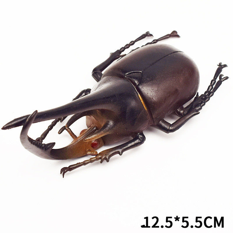 OEM fábrica personalizada modelo realista simulación de insectos juguete guardería ayudas de enseñanza broma juguetes